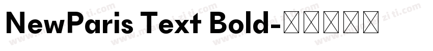 NewParis Text Bold字体转换
